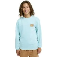 Quiksilver Sweatshirt Graphic