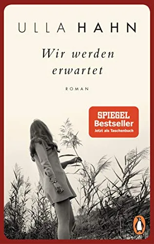 Wir werden erwartet: Roman (Die Geschichte der Hilla Palm Band 4)