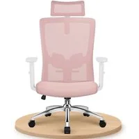 Adormii Bürostuhl Bürostuhl ergonomisch,schreibtischstuhl mit verstellbarer Lendenstütze (Ergonomischer bürostuhl mit verstellbaren Armlehnen, büro stuhl bis zu 135° neigbar, ergonomic office chair mit höhenverstellbarer, atmungsaktiv und komfortabel