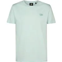Petrol Industries T-Shirt T-Shirt Kurzarmshirt Shortsleeve (1-tlg., 1)