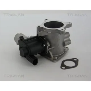 Triscan AGR-Ventil VW California Crafter Multivan Touareg Transporter