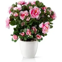 Kunstblume Kunstblumen im Topf, Künstliche Blumen wie echt, Deko Blumen Geranie, Kamelie, Orchidee, Azalee, Veilchen, PASCH, Hochwertiger Keramiktopf