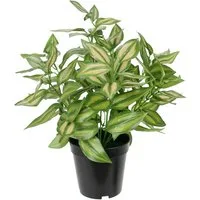 Kunstpflanze Künstliche Tradeskantie mit Topf Deko Grünpflanze Zimmerpflanze, I.GE.A., Höhe 35 cm, Efeuranke Tradescantiahänger Efeu Dekopflanze Seidenpflanze Kunstblume