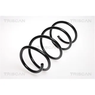 Triscan Feder vorne BMW 5er E60 87501173