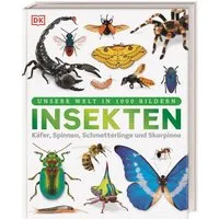 Unsere Welt in 1000 Bildern. Insekten / Ben Ffrancon Dowds, Andrea Mills, Lizzie Munsey, Käfer, Spinnen, Schmetterlinge und Skorpione. Die Welt der Gliederfüßer einfach erklärt. Für Kinder ab 8 Jahren