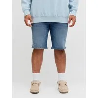 Jack & Jones PlusSize Shorts JJIRICK JJORIGINAL SHORTS AT 999 PLS