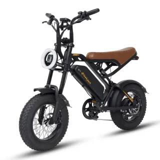 [EU DIRECT] Bodywel M16 Electric Bike 48V 13.5Ah 250W (Peak 500W) Motor Recommended Top Speed 25KM/H 16 Inch Tire 50-80K