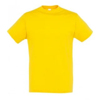 SOLS Herren Regent T-Shirt mit kurzen Ärmeln (Gold)