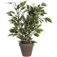 Kunstpflanze Mica Kunstpflanze Ficus Natasja grün bunt im Topf, Mica Decorations