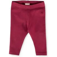 Sigikid Leggings für Babys Mädchen (1-tlg)