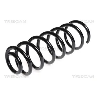 Triscan Feder hinten 875028164 Citroen Jumpy Peugeot Expert Toyota Proace
