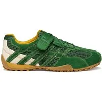 Geox Geox - U SNAKE ORIGINAL - Grün Schnürschuh