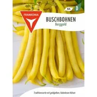 FRANKONIA Gemüsesamen Buschbohne, Berggold - Bohnen-Samen Saatgut Samen, Phaseolus vulgaris