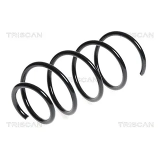 Triscan Feder vorne Mini 875011101