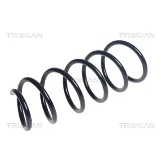 Triscan Feder vorne BMW I3 875011224