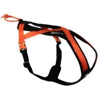 Non-stop dogwear Hunde-Geschirr Rush Harness black/orange, für aktive Hunde