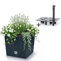 Prosperplast Blumentopf Rato Low DRTS265L, inkl. Bewässerungssystem & Pflanzeinsatz, Rattanoptik, eckig