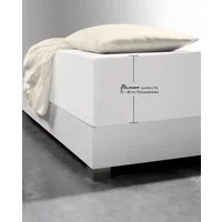 fleuresse Spannbettlaken Comfort XL, Mako-Jersey, Gummizug: rundum, (1 Stück), Mako-Jersey, für Matratzen bis 40 cm Höhe, Bettlaken, Spannbetttuch