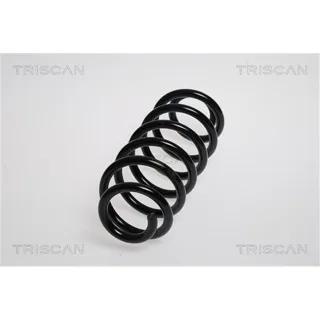 Triscan Feder hinten Smart Fortwo