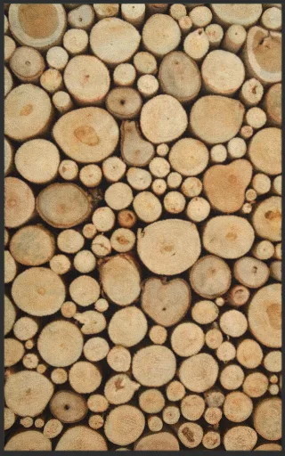 Fussmatte 7135 | Größe: 60 cm x 90 cm
