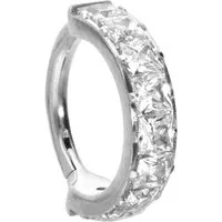 PIERCINGLINE Nasenpiercing Titan Segmentring Clicker EINGEFASSTE KRISTALLE Ohrpiercing Septum (Clicker, 1-tlg), Ohrpiercing für Conch, Helix, Tragus, Daith, Lobe