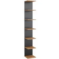 Vicco Bücherregal Paolo, Anthrazit/Goldkraft Eiche, 30 x 190 cm, 1-tlg.