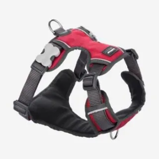 Red Dingo Geschirr Gepolstert M rot
