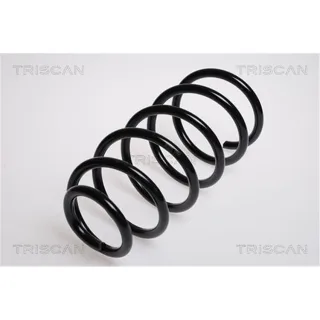 Triscan Feder vorne Audi A3 VW Golf New