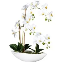 Kunstorchidee Phalaenopsis Orchidee Phalaenopsis, Creativ green, Höhe 60 cm, im Keramikschiff