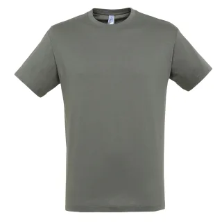 SOLS Herren Regent T-Shirt mit kurzen Ärmeln (Zink)