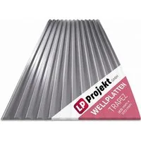 LP projekt Wellplatte Dach Kunststoff – Wetterfest & Langlebig für Überdachung, 1,2 mm, 1,05 m², (1-St., Einzelplatte oder 1er-/5er-/10er-Set), 90x117 cm Welldachplatten Transparent – Ideal für Carport & Garten