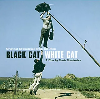 Schwarze Katze weißer Kater (Black Cat - White Cat)