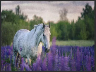 Fussmatte Pferd 4981 | Größe: 60 cm x 45 cm