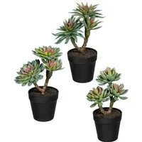 Kunstpflanze Sukkulenten Sukkulenten, Creativ green, Höhe 24 cm, im 3er Set