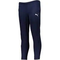 PUMA Sporthose PUMA teamRISE Poly Trainingshose Kids teamRISE