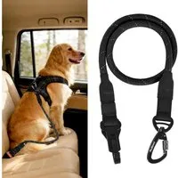 LuxusKollektion Autohundegeschirr Hunde Sicherheitsgurt Anschnallgurt Auto Karabiner Schwarz