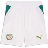 PUMA Sporthose Senegal Shorts Herren