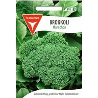 FRANKONIA Gemüsesamen Brokkoli, Marathon F1 - Saatgut Samen, Brassica oleracea