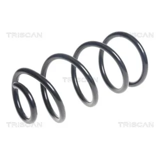 Triscan Feder hinten Nissan Micra K13