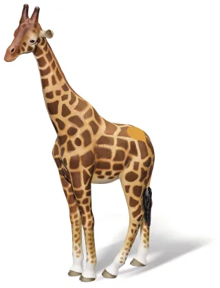 Ravensburger tiptoi 00358 - Giraffe