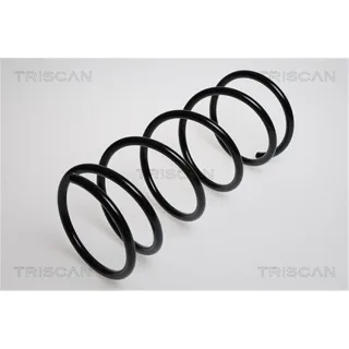 Triscan Feder vorne Ford Focus 1 1,4