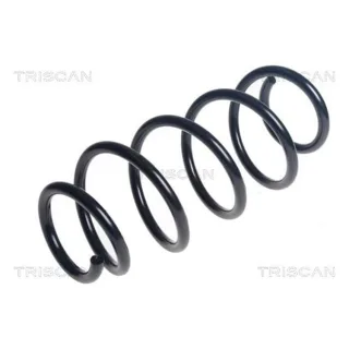 Triscan Feder vorne Citroen Jumpy Peugeot Expert 2,0 875028311