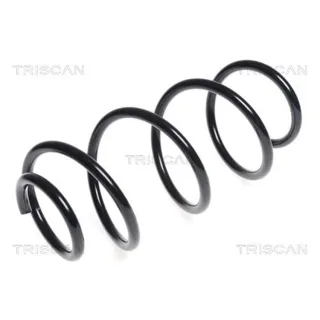Triscan Feder vorne Hyundai Ix20 Kia Venga 875043105
