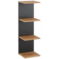 Vicco Bücherregal Paolo, Anthrazit/Goldkraft Eiche, 30 x 95 cm, 1-tlg.