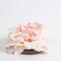 Kunstblume Künstliche Blume Pfingstrosenblüte Megan, schwimmend, rosa, Ø 15cm Pfingstrose, artplants, Höhe 15.0 cm