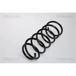 Triscan Feder vorne VW Golf Scirocco