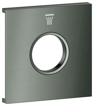GROHE Metallplatte Grohtherm Aqua Tiles 107174, Symbol: Kopfbrause 6 hard graphite geb., 107174AL00 107174AL00