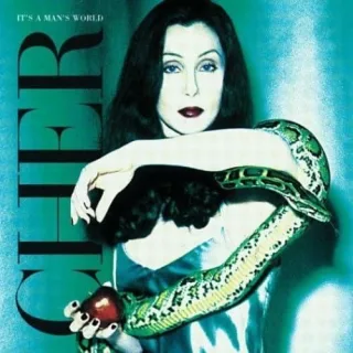 It's a Man's World [Audio CD] Cher