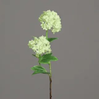 45 cm