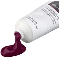 Solitaire Brilliant Creme Bordeaux Schuh-Imprägnierspray